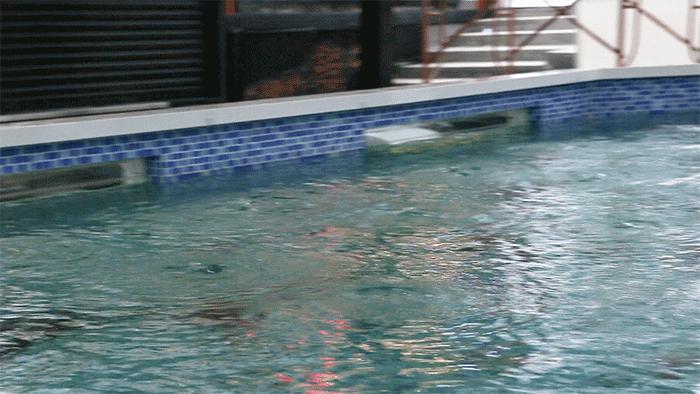 顺德首个集装箱「凤旨宵HEA」5.1揭幕！来凤城食都打卡100款美食