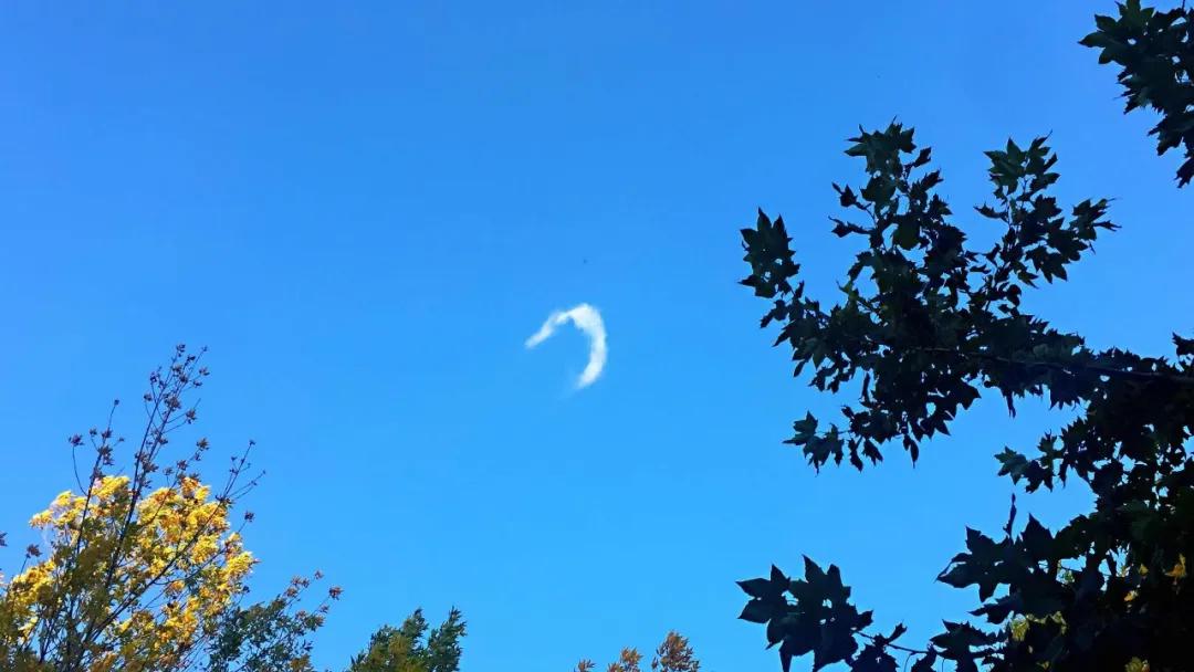 100句经典古诗词用于写作,100首顶级绝美古诗词名句及解释