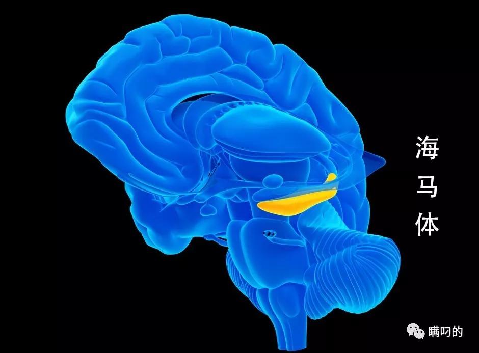 美国微信最新官方消息,微信在美国最新进展情况