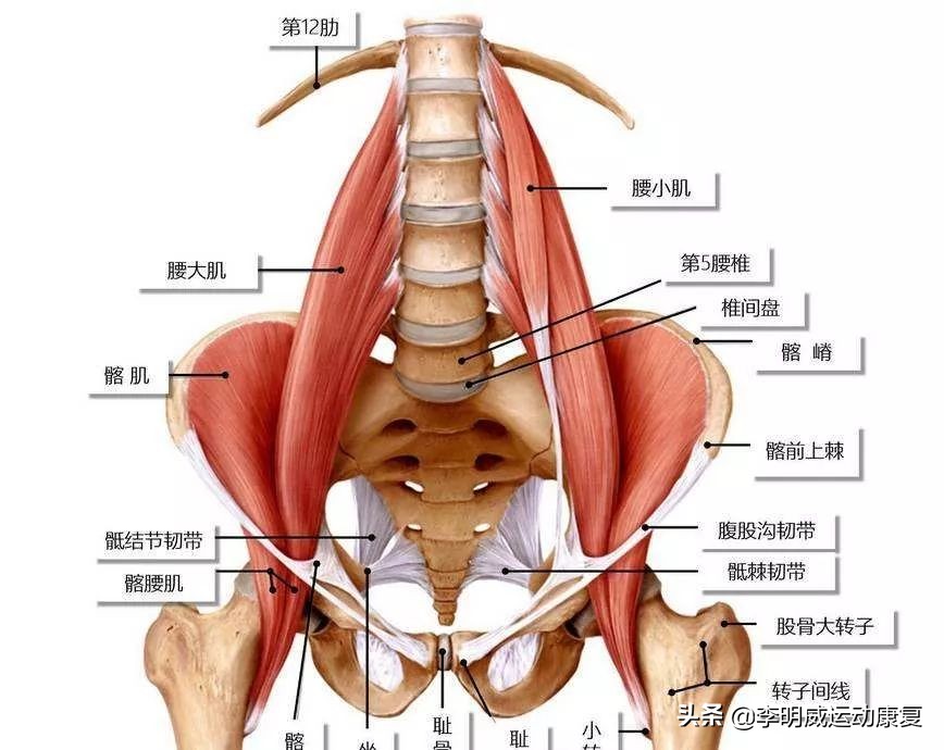 年轻人腰部还好吗,年轻人腰累怎么恢复