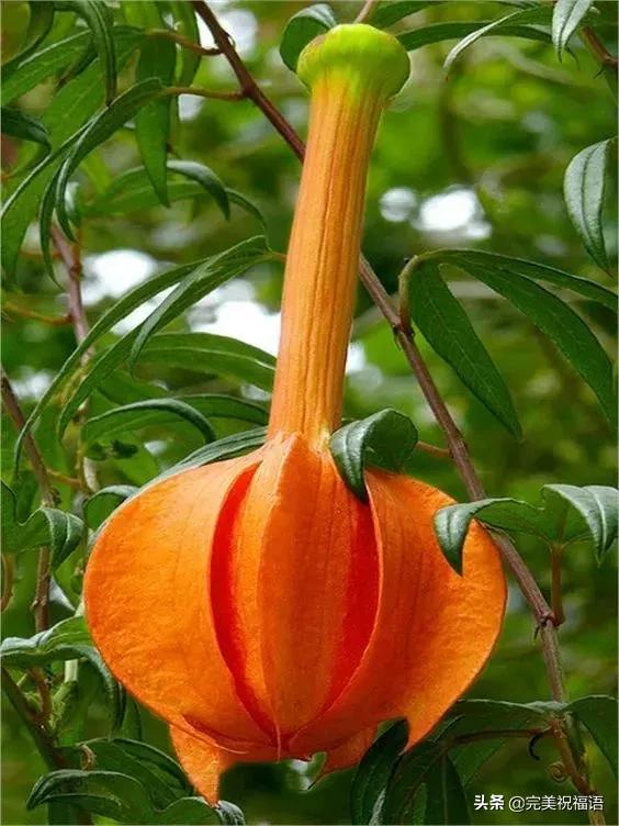 六一相册影集,六一照片专场