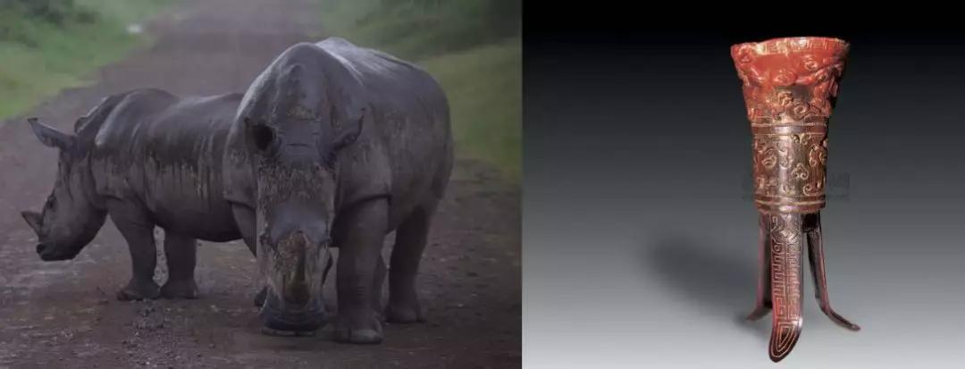 一辈子都不能碰的七种文玩,这10种文玩都是违禁品最好别碰