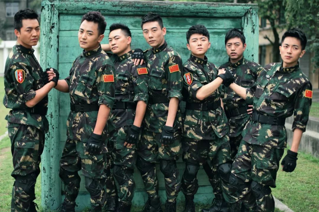 芳华之后的感悟,芳华之后文艺兵