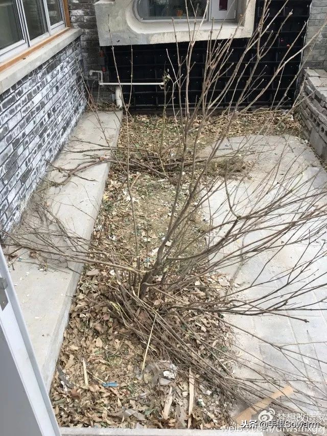 “我在为自闭症女儿奔波，你却让你妈吸雾霾”