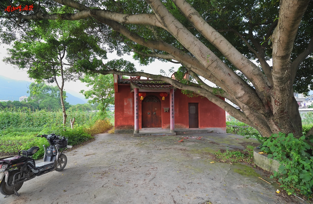 摄影就是记录流逝的时光,摄影捕捉生活的美好瞬间