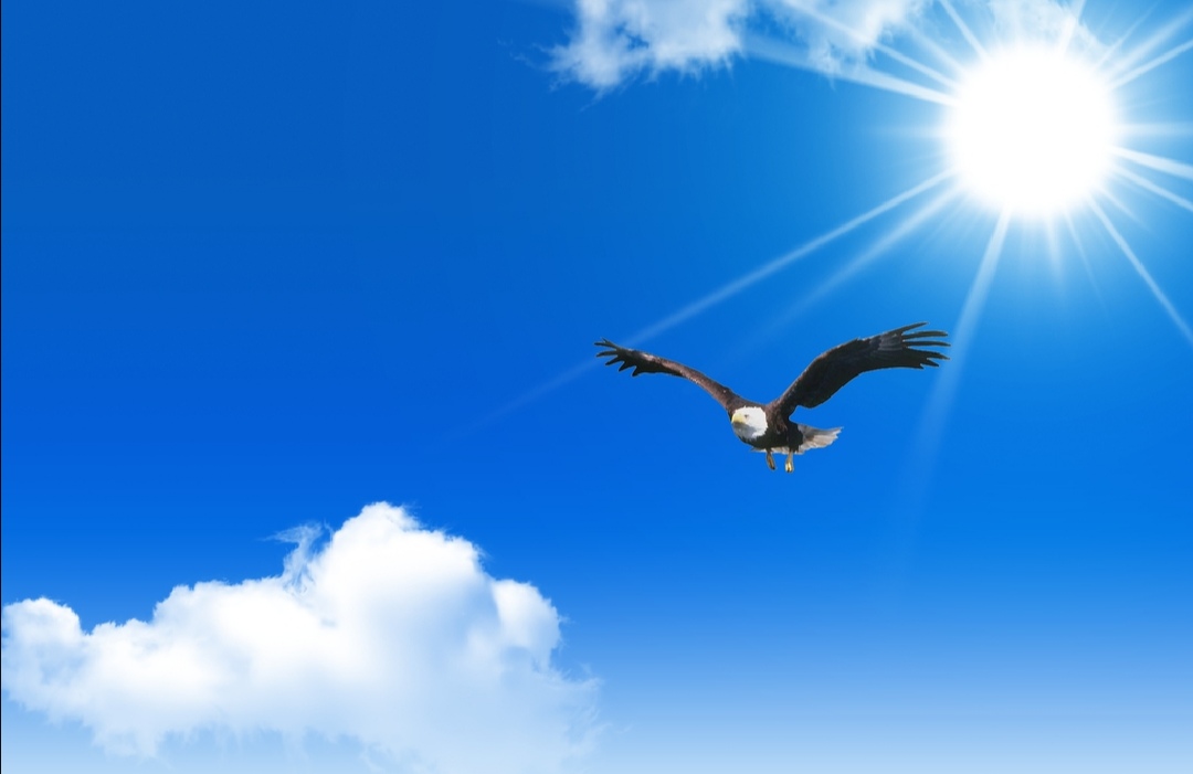 发过的誓言如果违背了会怎么样,如果你的另一半犯了原则性