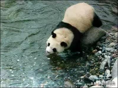 甘肃属于哪个省份的城市,甘肃是哪个省份的城市