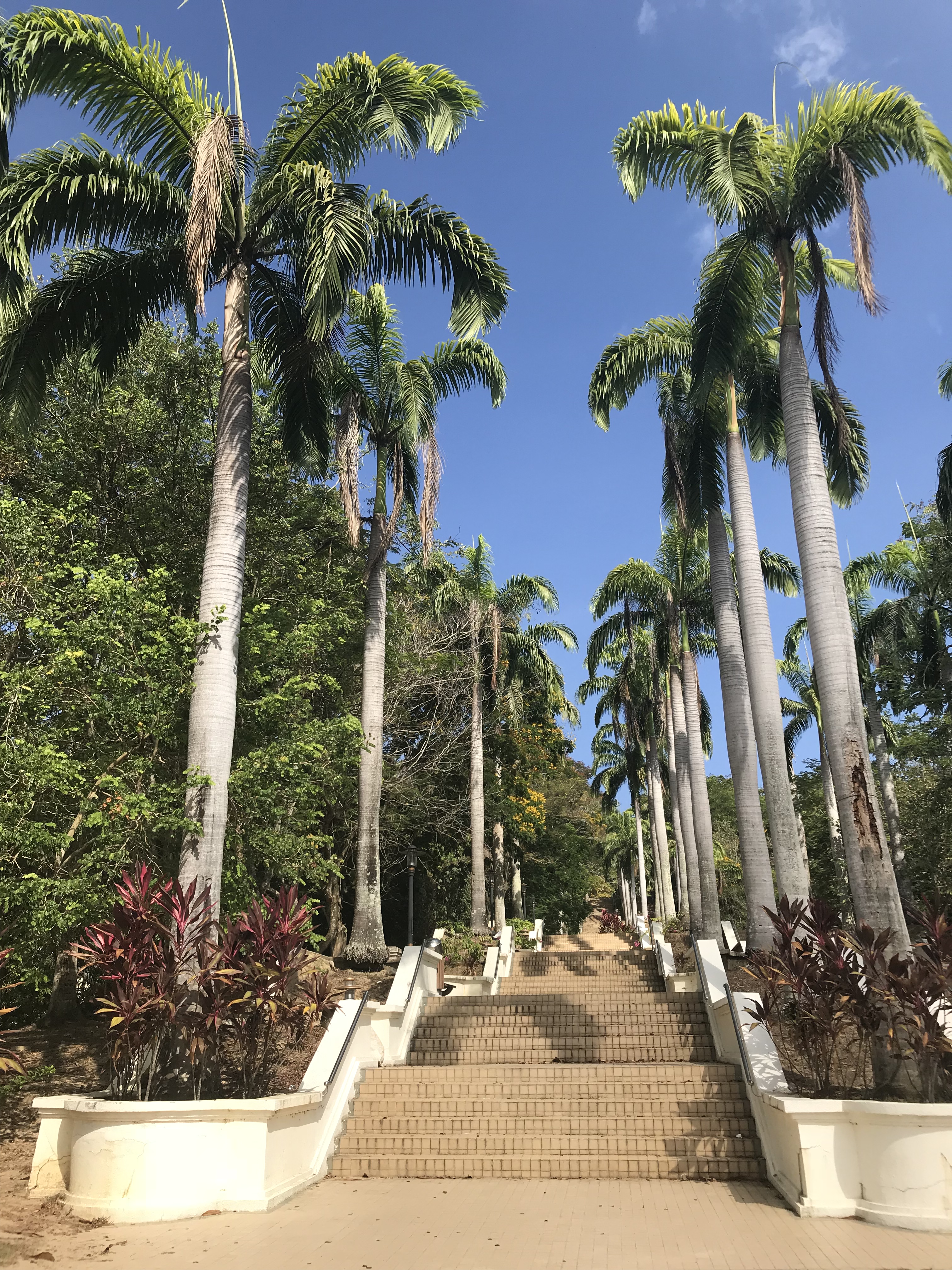 马来西亚沙巴旅游攻略详细,马来西亚沙巴好玩不