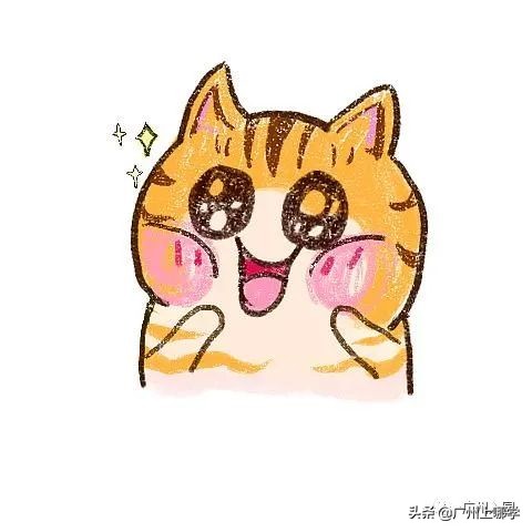 广州荔湾区常春藤幼儿园怎么样,荔湾区优质幼儿园