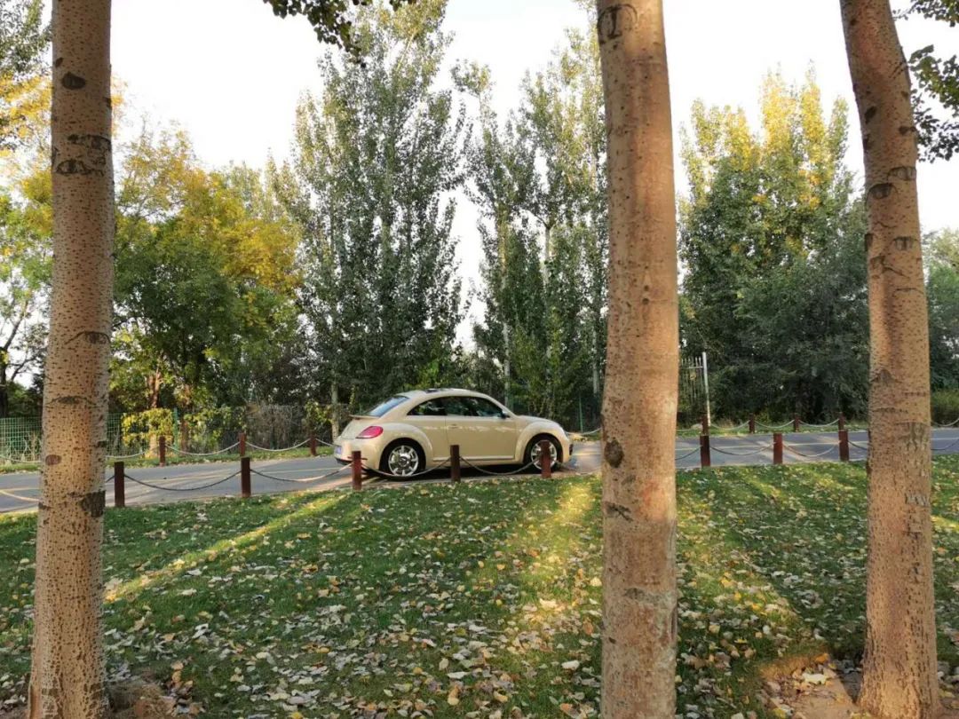 大众甲壳虫这款车怎么样啊,大众甲壳虫适合年轻女性的车