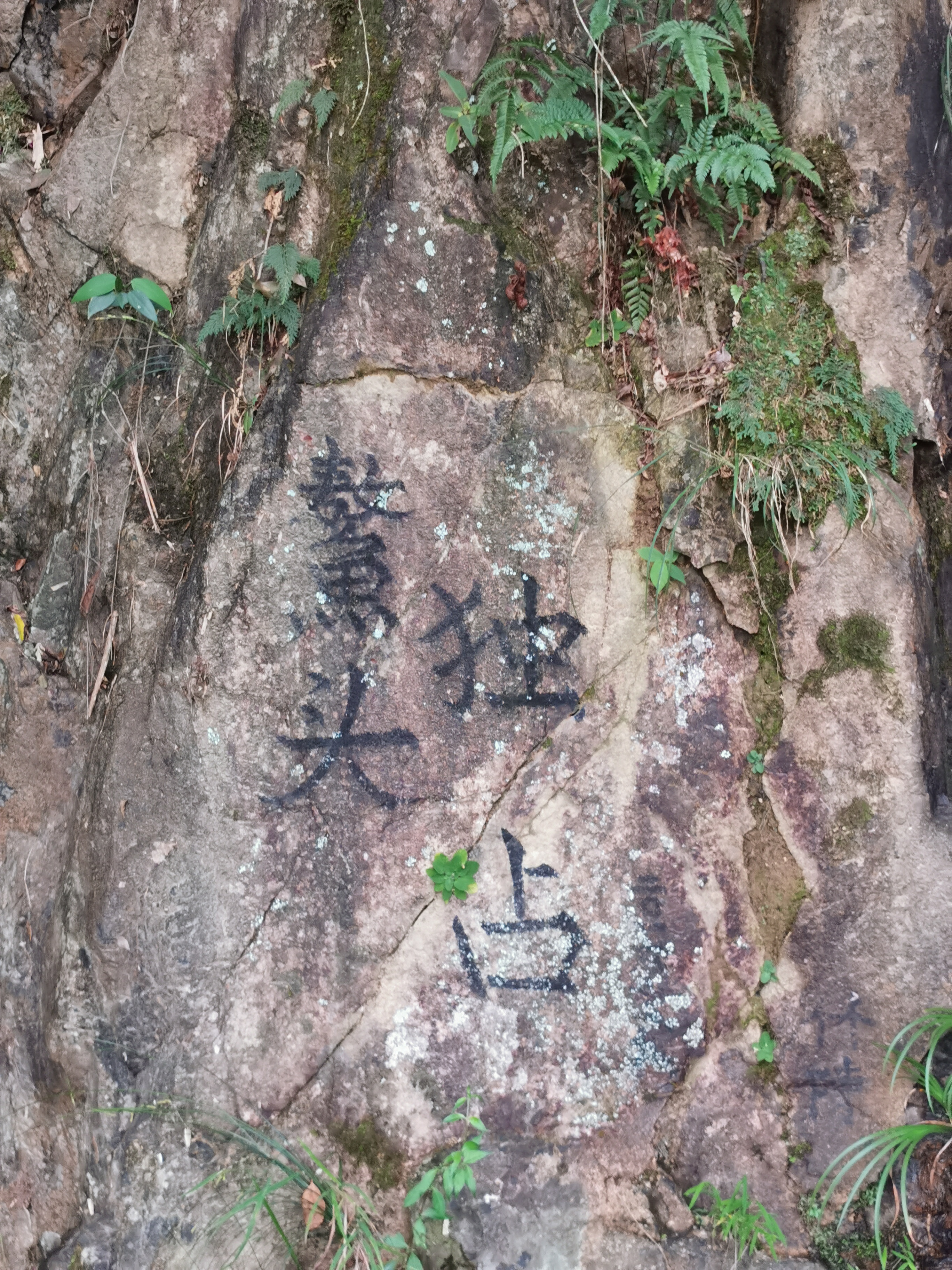 福州周边古道行之：三十六弯—恩顶—竹园岭，偶遇大野猪夹子