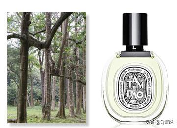 清新木质香调的香水有哪些,适合女生的木质大牌香水推荐