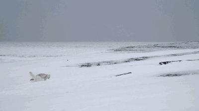 长春家长都领着孩子在干这件事儿，你没做，就落后了！