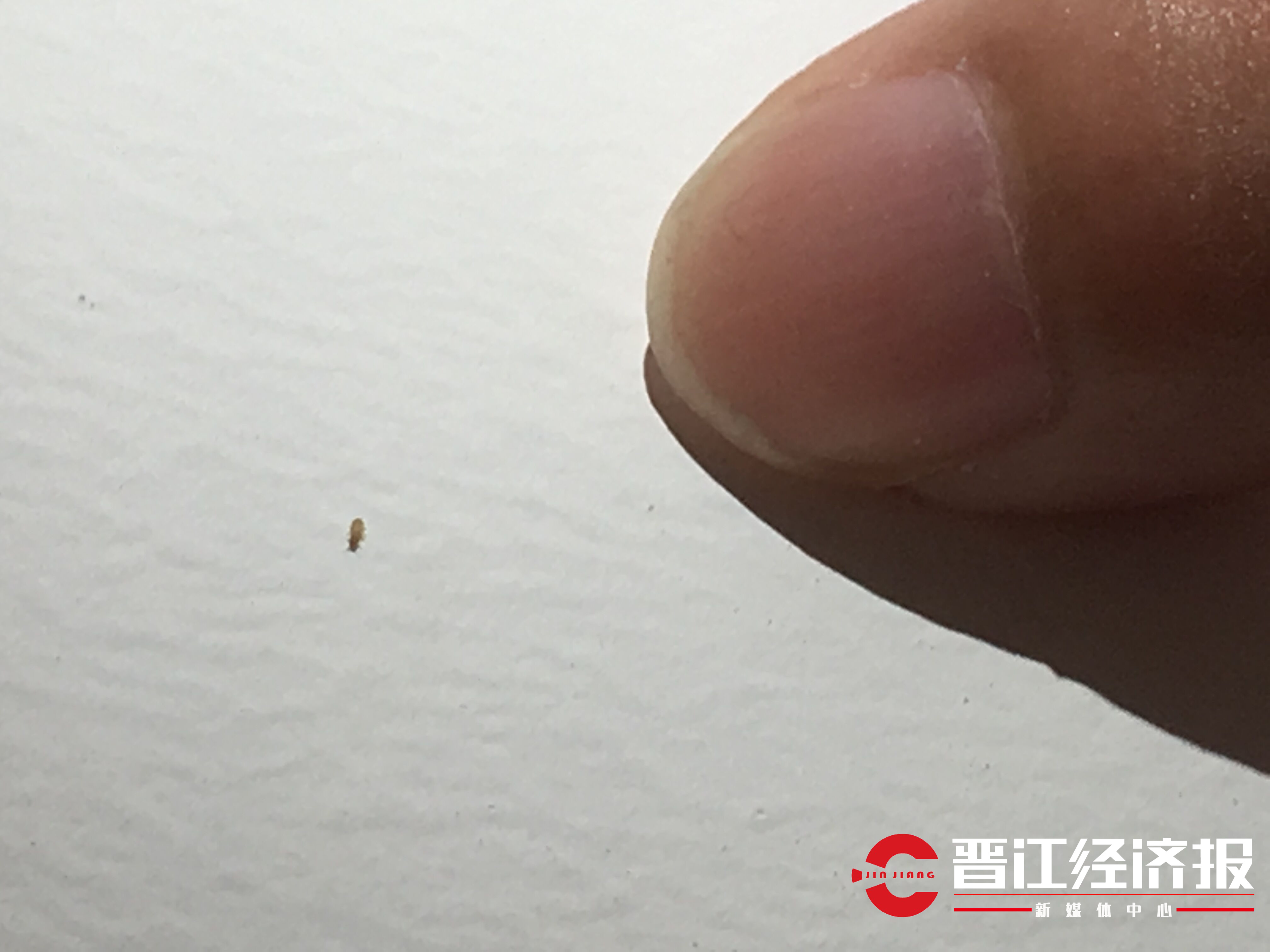 中航城天骏南区,中航城天骏北区