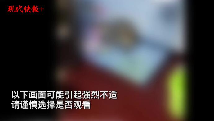 实习医生用开水浇小狗还拍视频系南通大学研究生