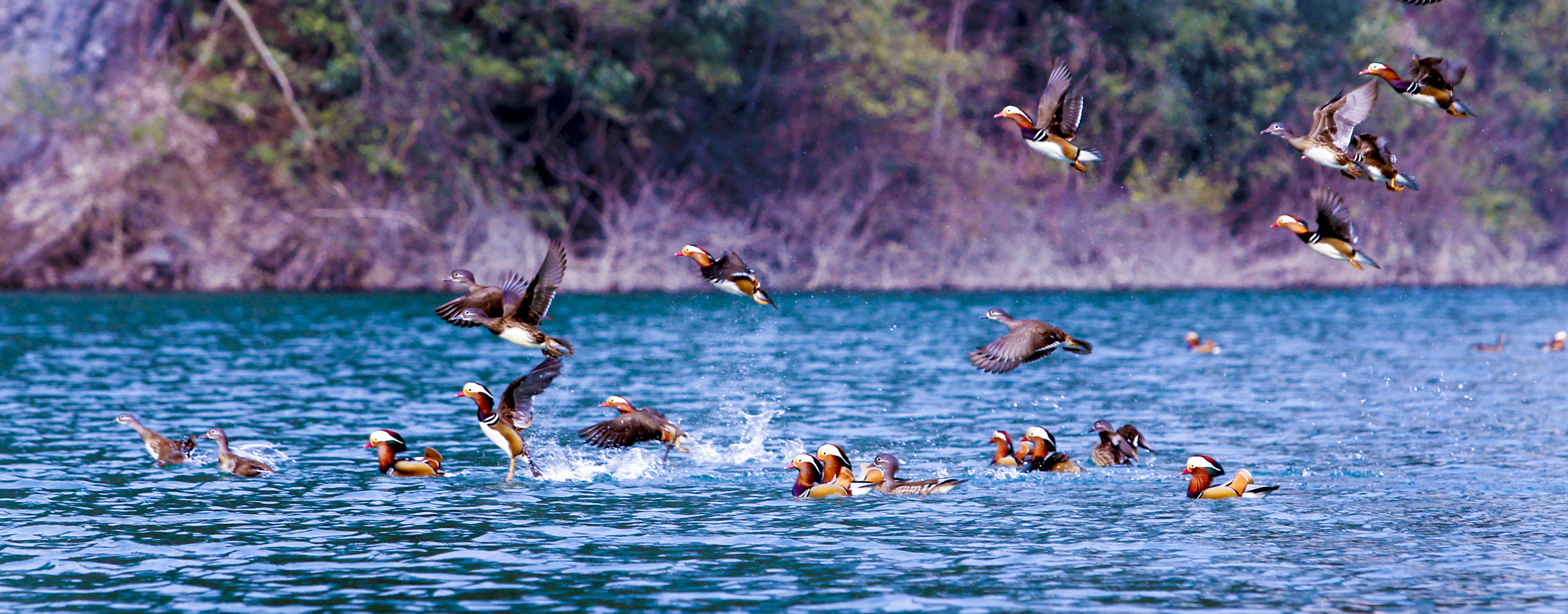 天堂纳木错完整版,天堂圣湖