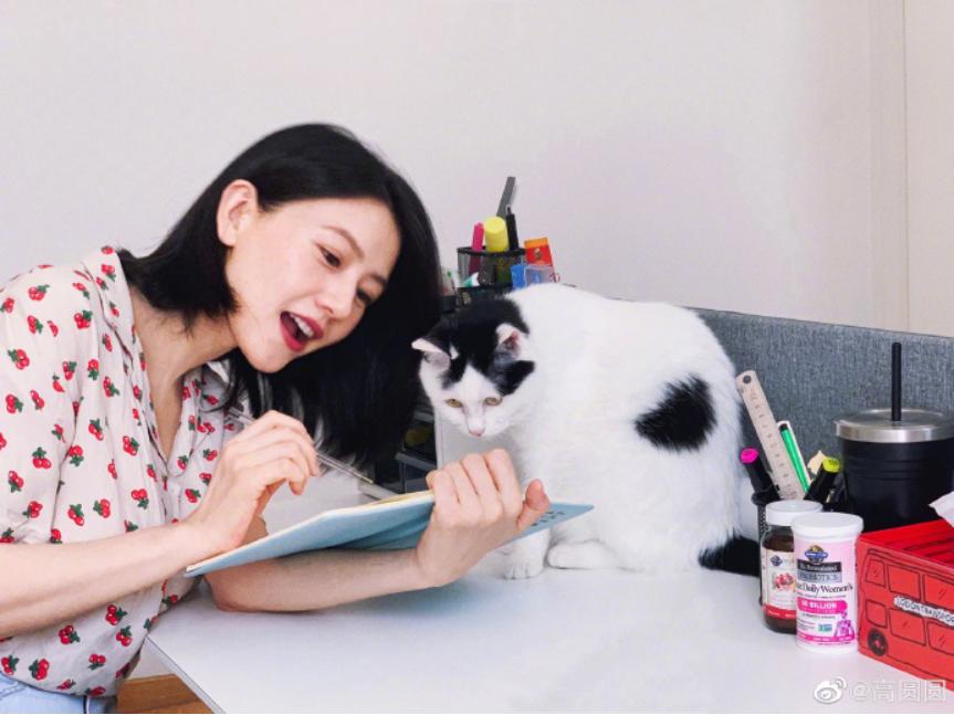 赵又廷抱娃出街,赵又廷高圆圆抱着林更新