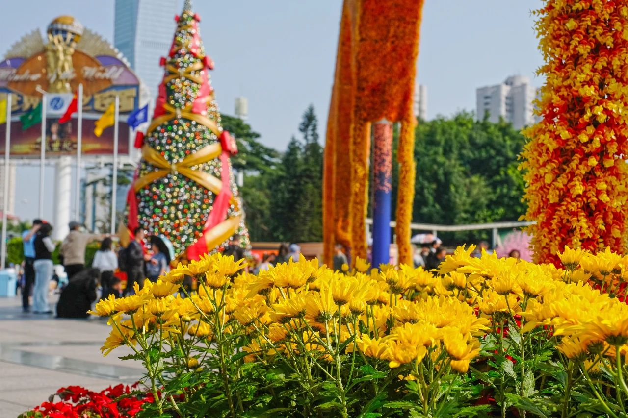 深圳周边自驾游一日游景点推荐,深圳30人报团一日游有什么景点