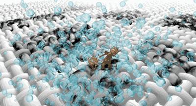 刚买来的牛仔裤能不能用洗衣机洗,新买的内裤能用洗衣机洗吗