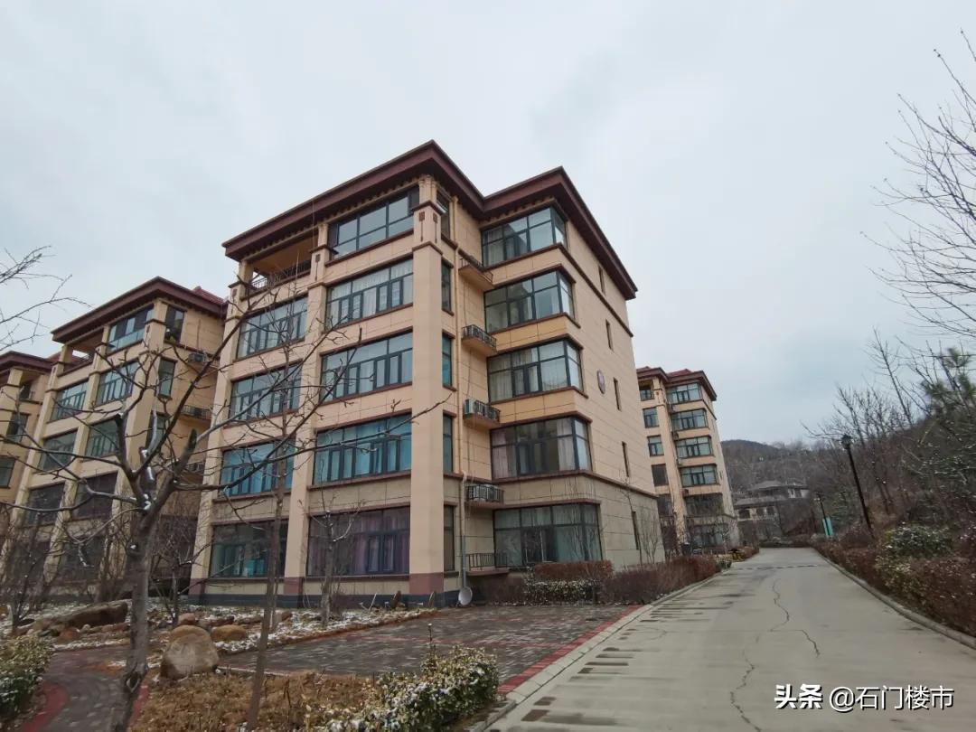 实探现场,实探日本果园