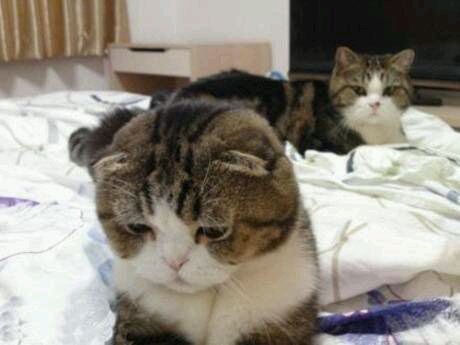 保健品中老年养生路上最大的坑,最坑人的五大养生误区