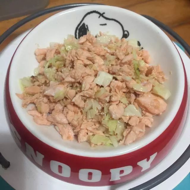 怎么喂食才能保证狗狗健康,狗狗怎么合理喂食和注意事项