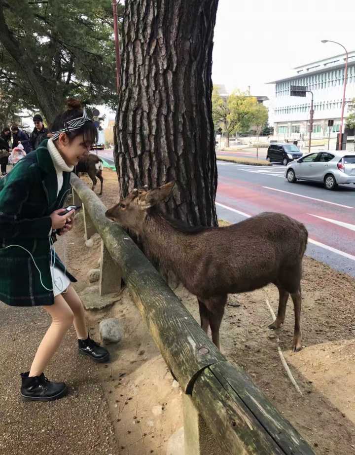 什么样的腿才叫长腿,什么样的腿才是细腿