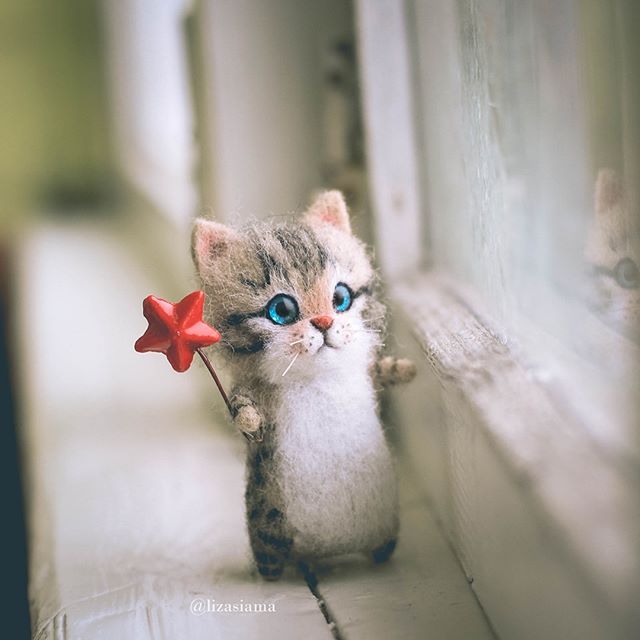 给猫猫做了一个羊毛毡,女生用羊毛毡自制仿真猫咪