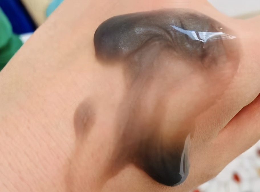 3款不输大牌的国货洗发水,10款最好用的洗发水国货