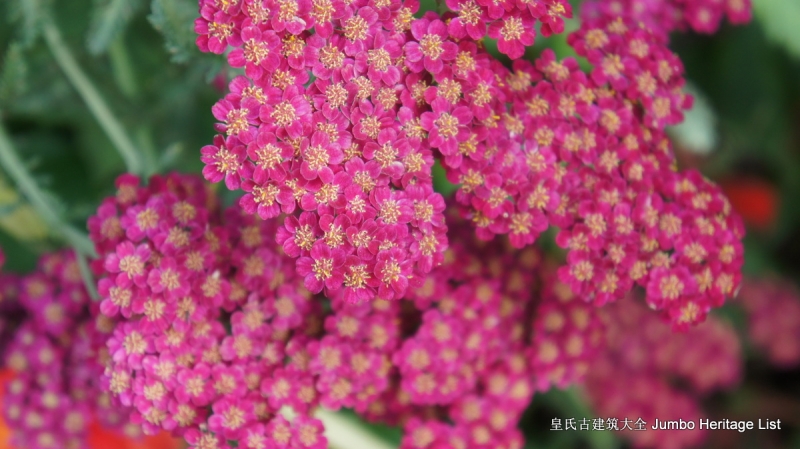 第29回：名校毕业风光不再，穹顶之下天空湛蓝