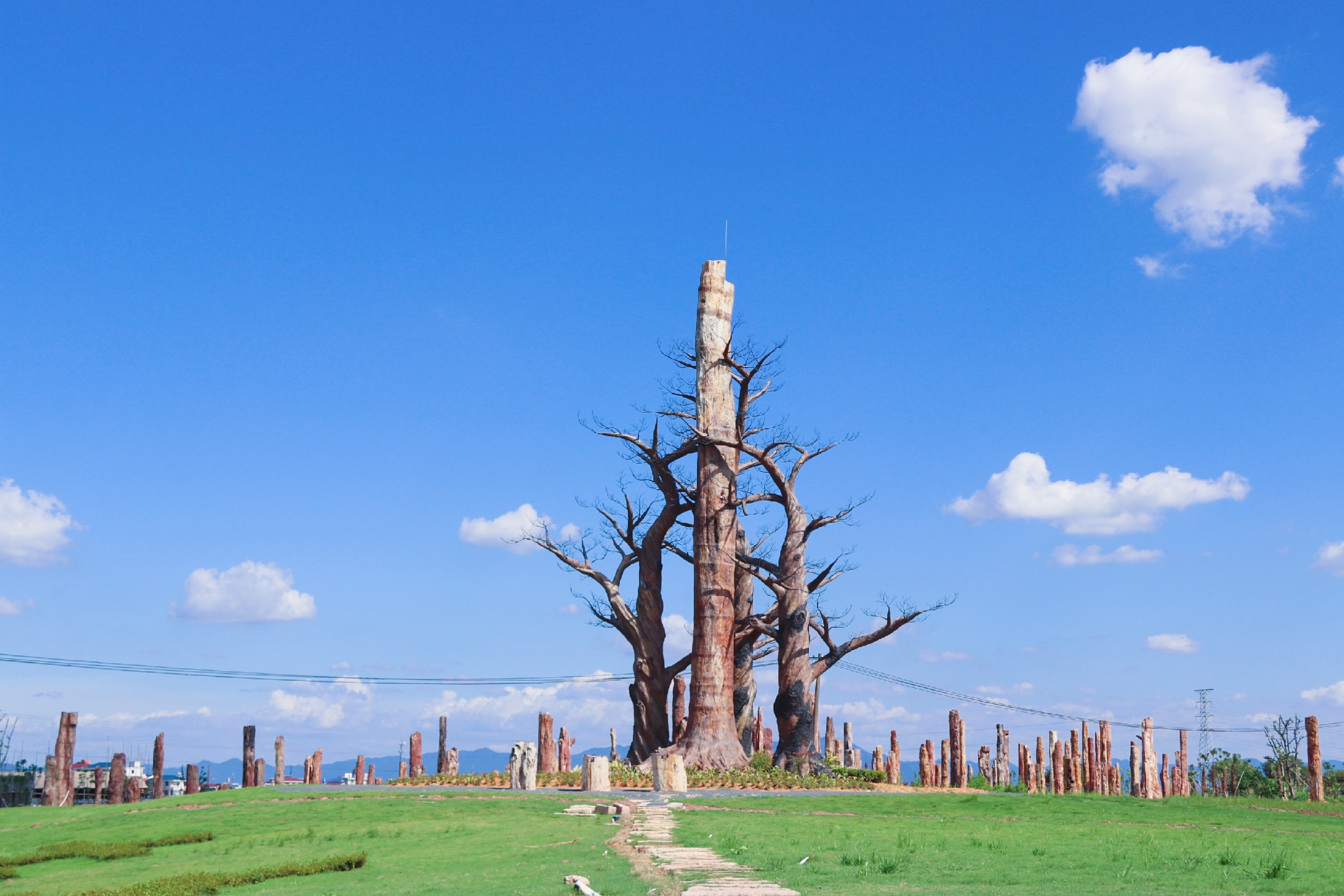 森宇集团森山小镇,森宇和森山
