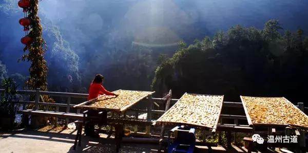 永嘉楠溪江流域的岭上人家古村,楠溪江必打卡地方
