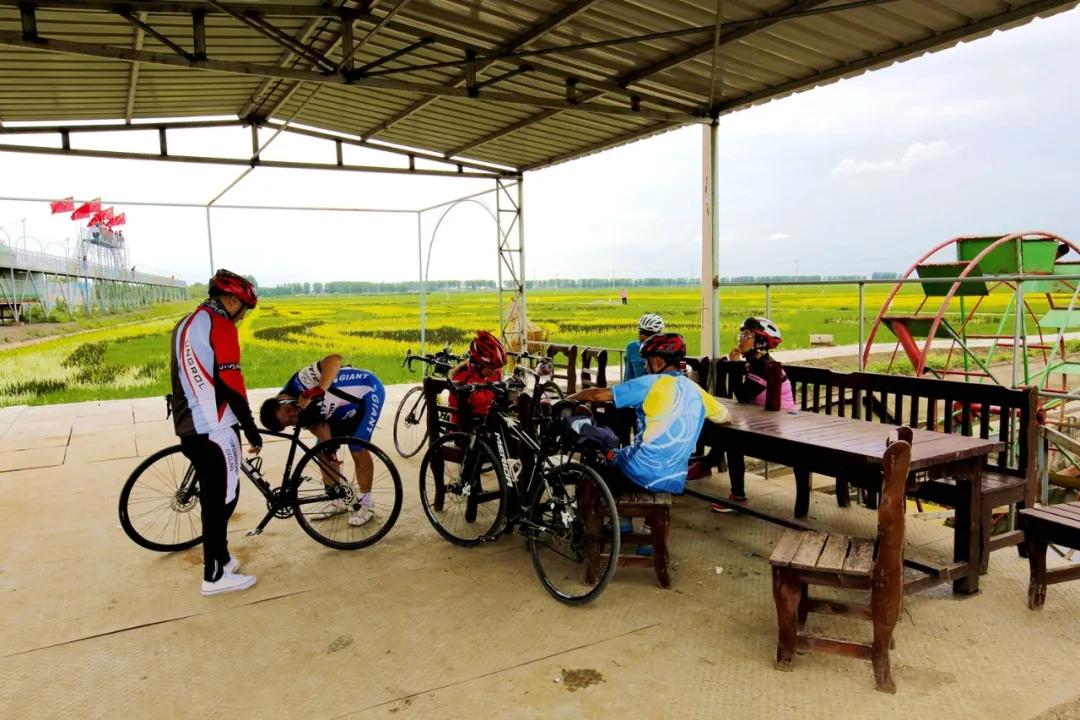 津门网金熙男:最美的稻田