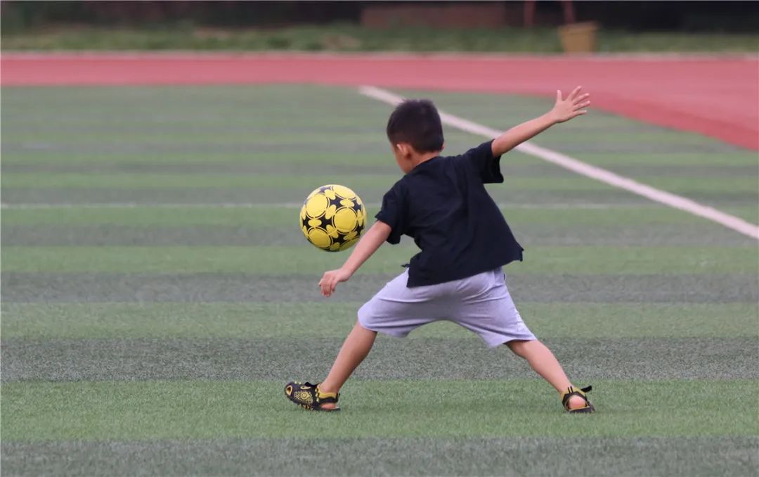 桂林平乐阳光训练营,平乐篮球培训班