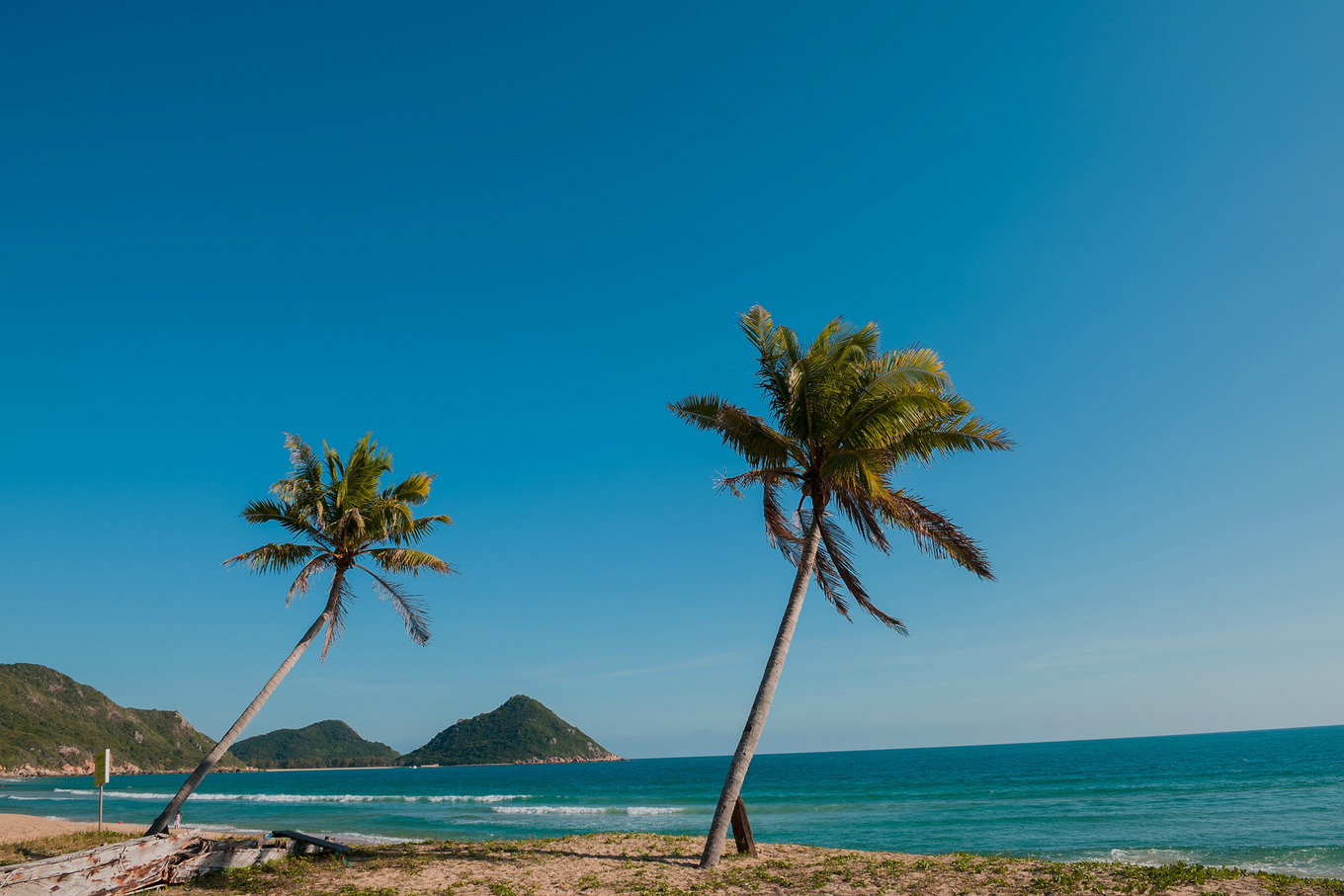 你在南方瑟瑟发抖，我在这里遛娃、看猴、赶海····