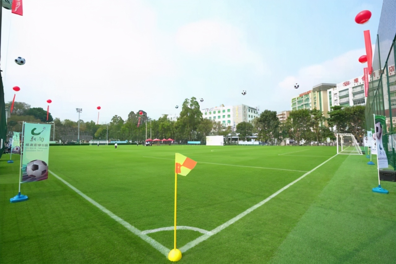 南山桃源村足球场,桃源足球公园
