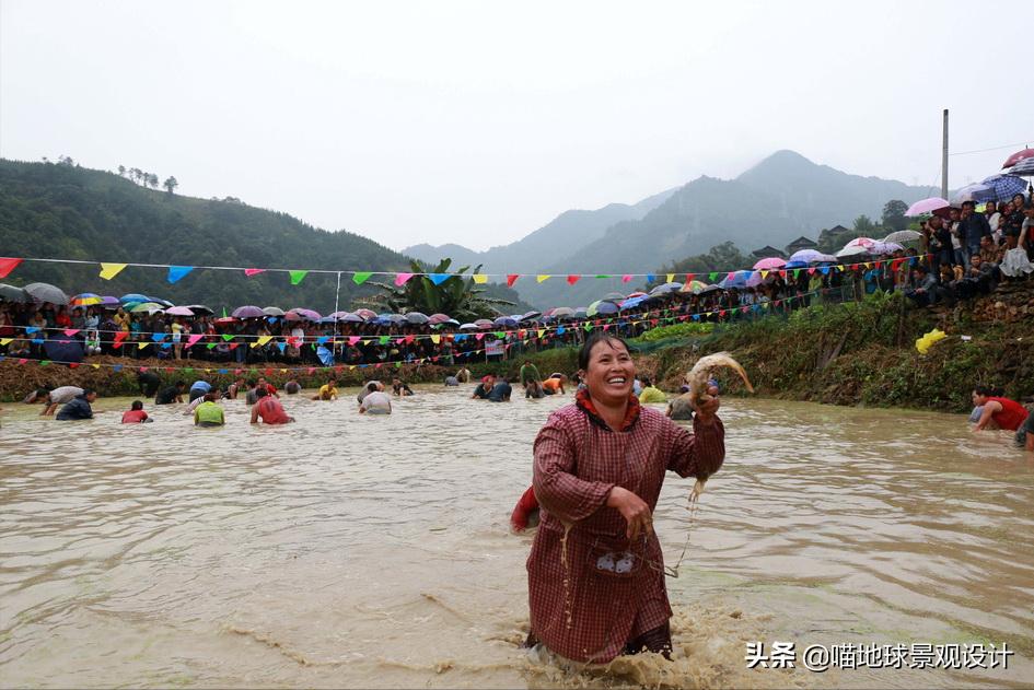 美丽乡村的盈利项目,美丽乡村项目的成功案例