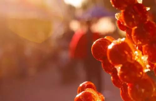 正宗的天津美食一定要尝一尝 (去天津必吃的100种美食)