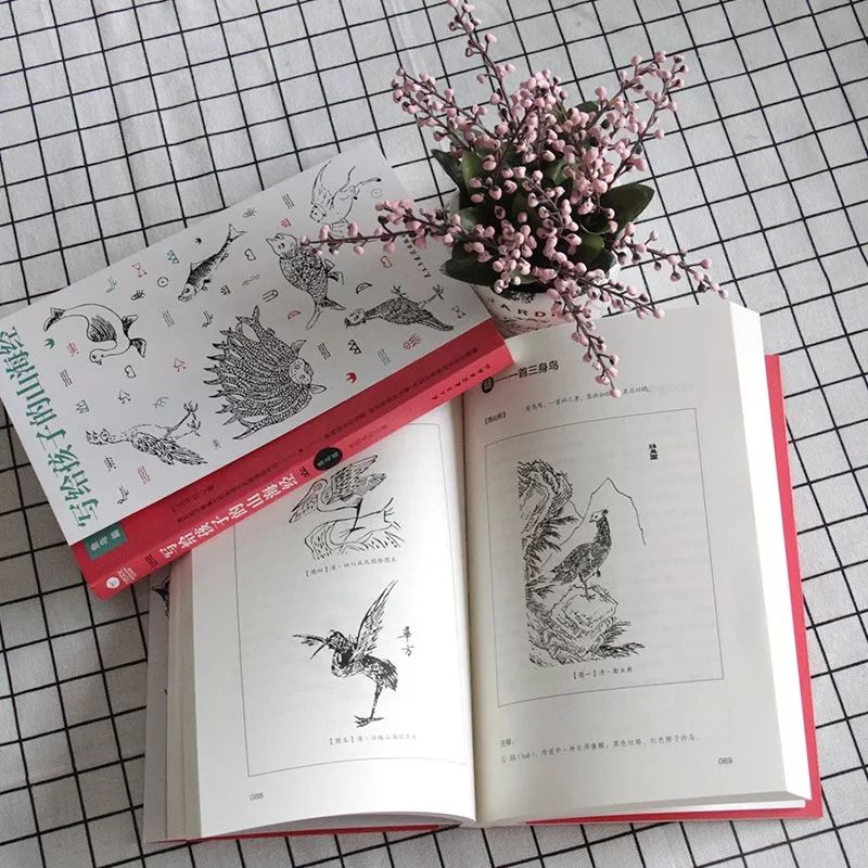 山海经必读,山海经书籍记载并非空穴来风