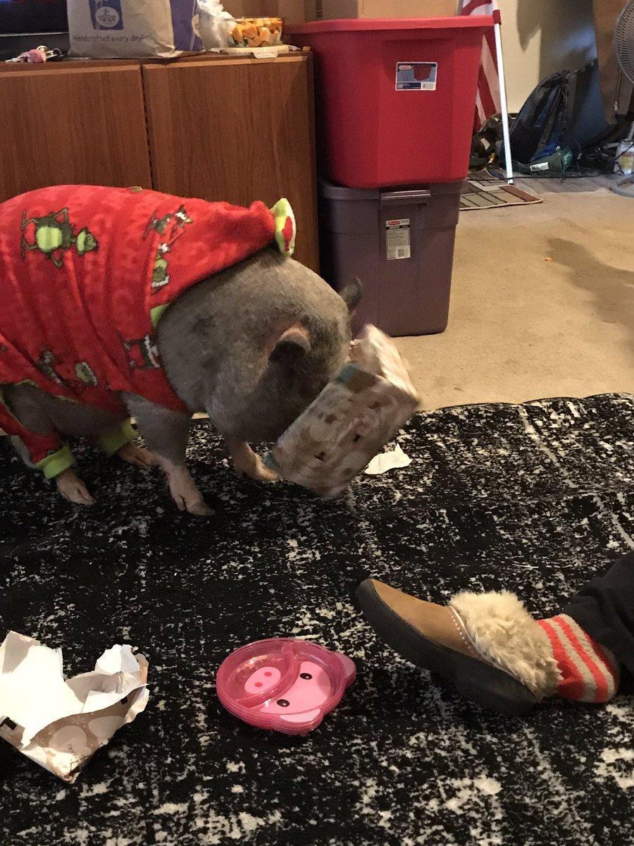 烤肠犯了什么罪？WWE冠军疯狂声讨烤肠引大批网友调侃！