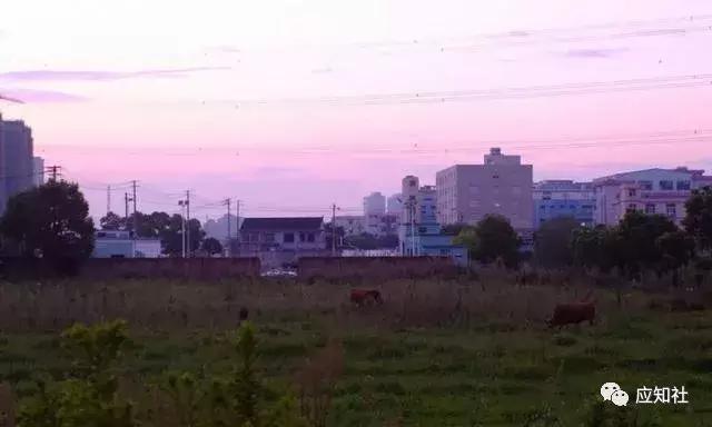 宁波踏青好去处自驾,宁波周边免费踏青爬山