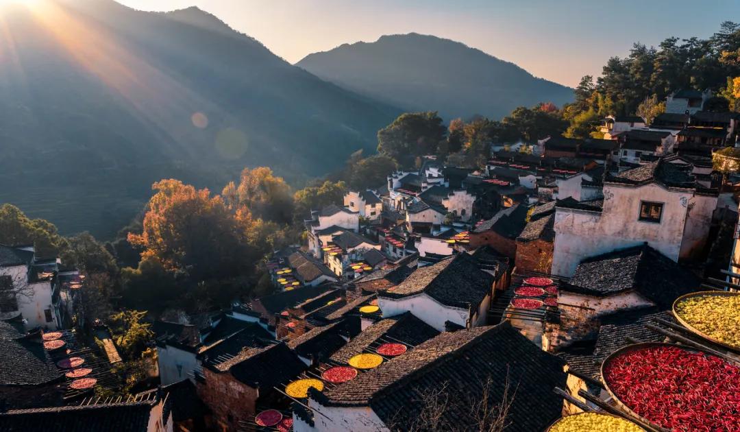 这才是中国最美的乡村,最值得去的鲜花小镇