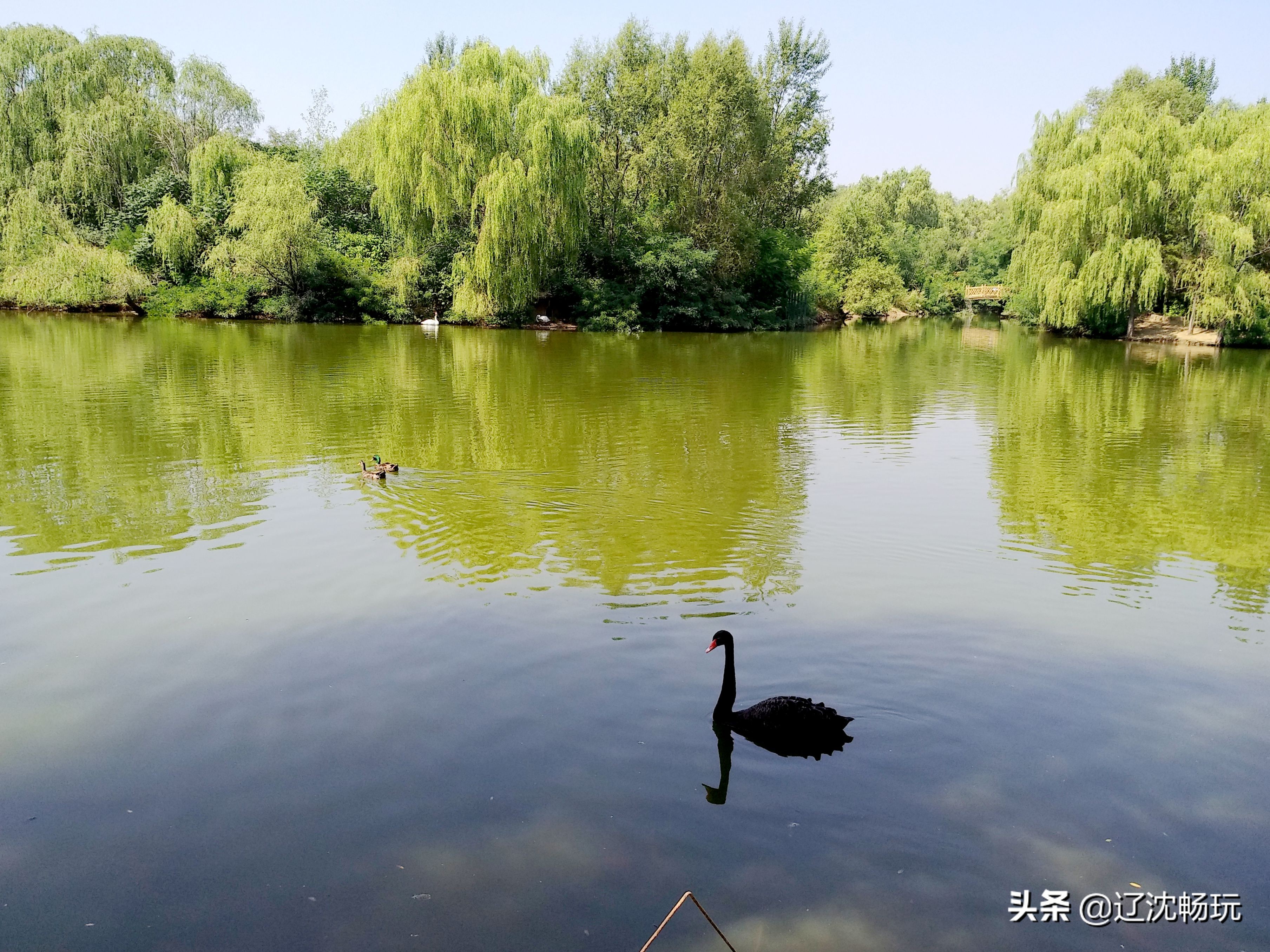 沈阳旅行推荐夏季景点攻略,沈阳冬日周边一日游旅游景点推荐