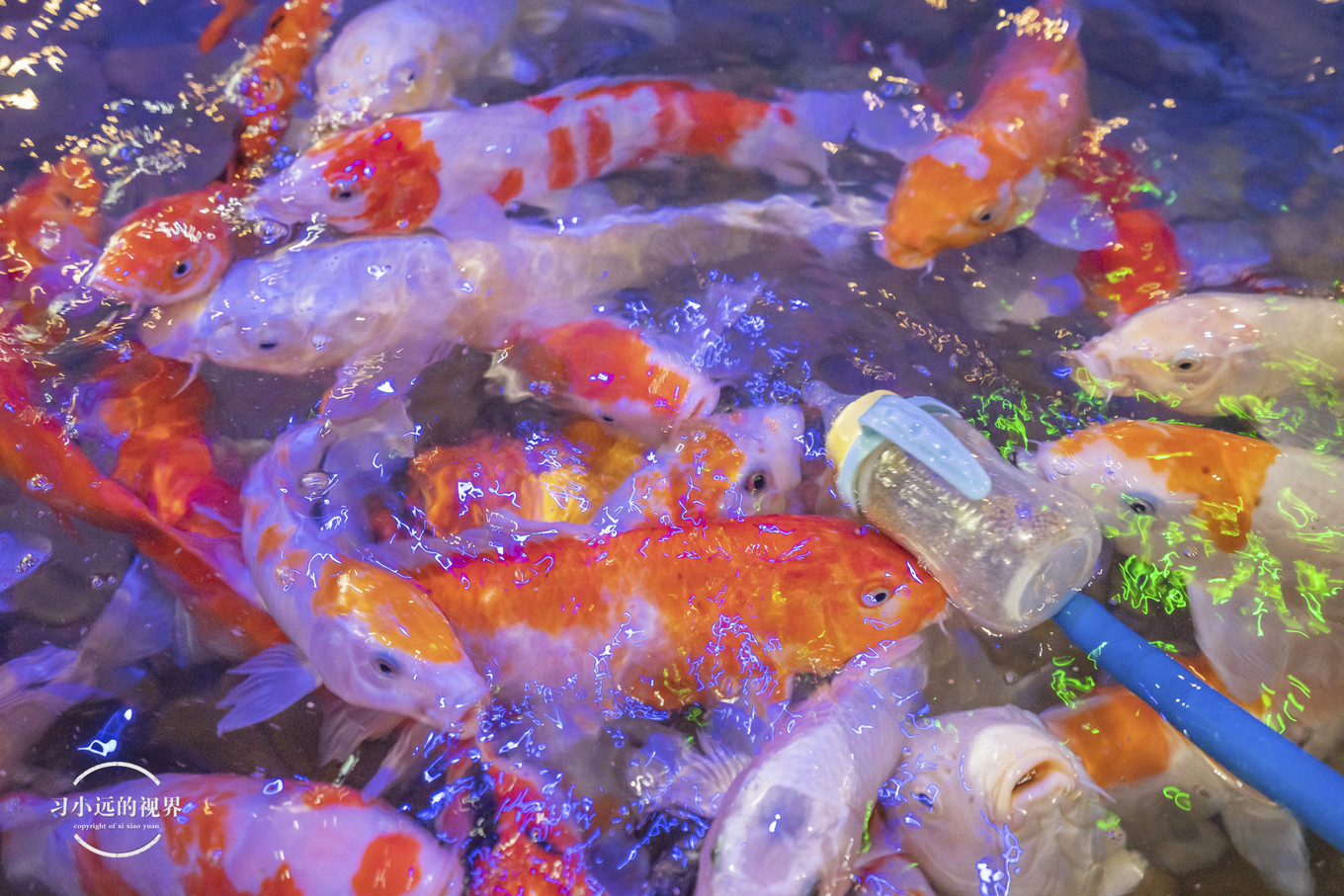 合肥万佛湖二日游攻略,合肥市区旅游攻略一日游