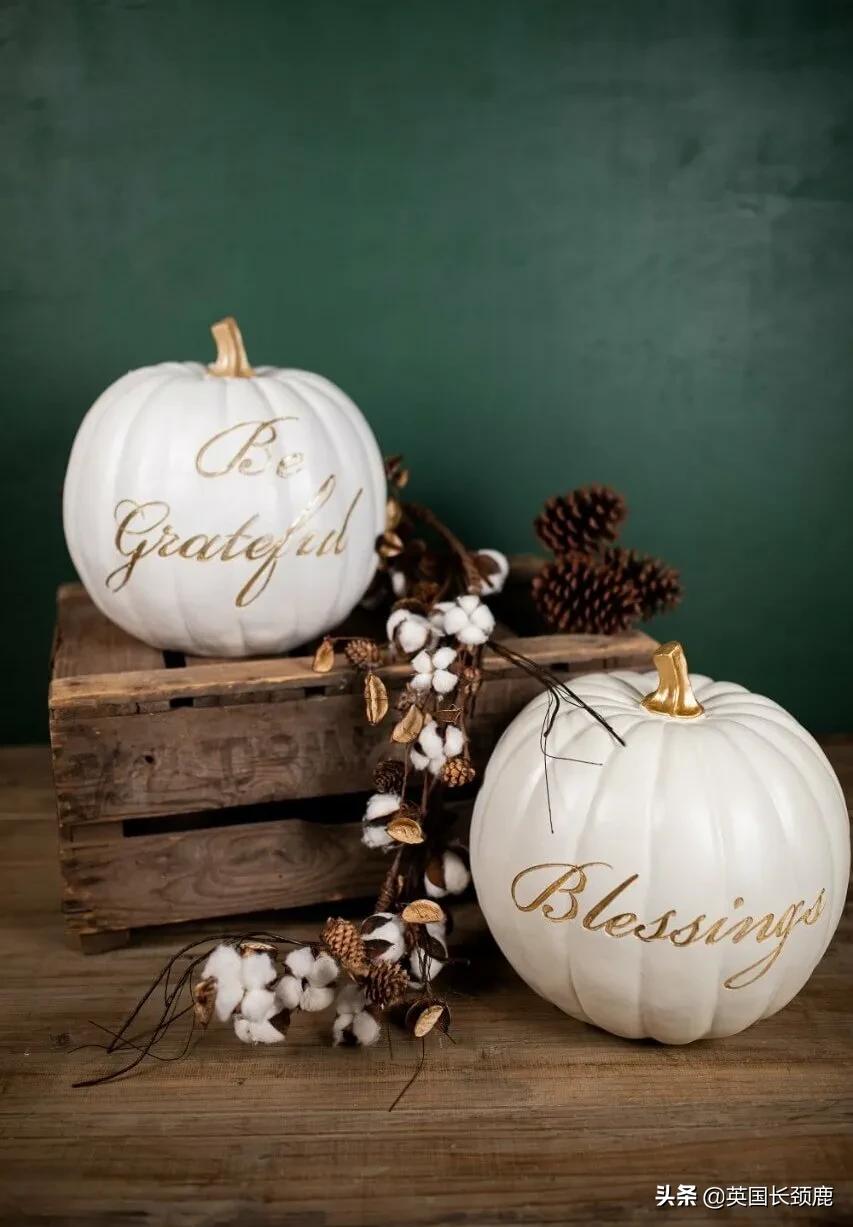 南瓜大作战任务,南瓜大作战活动攻略