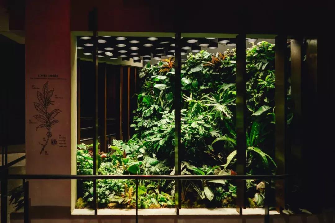 星巴克的设计是谁设计的,上海星巴克的设计师