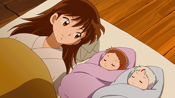 半妖的夜叉姬第二季杀生丸战败,半妖的夜叉姬值得看吗