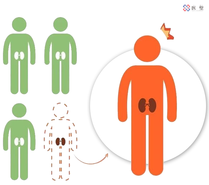 干细胞可以治疗肾功能,干细胞再生治疗肾衰竭
