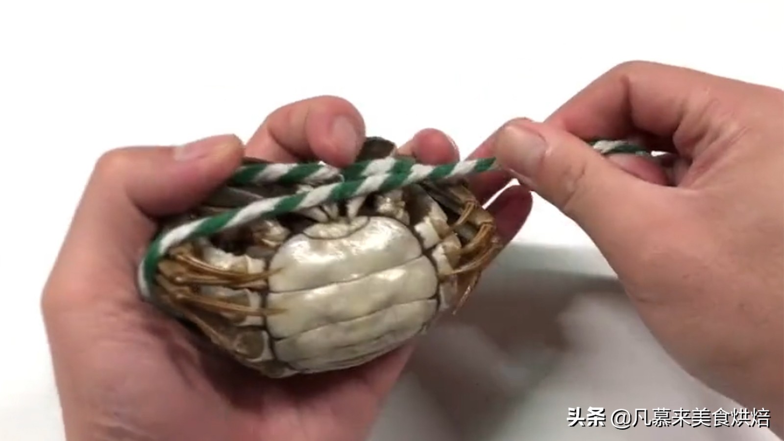 正确的螃蟹绑法,绑螃蟹技巧教学