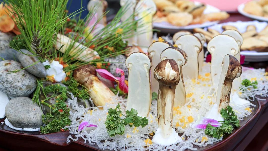 松茸的吃法大全视频,松茸的吃法周岁宝宝可以吃吗